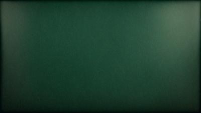The primary subject of the image is a green background. The setting is a large, empty space with no visible objects or people. The visual style is a close-up of the green background, which appears to be a piece of fabric or a wall. The colors and mood of the image are predominantly green, creating a calm and serene atmosphere.