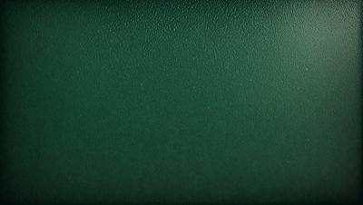 The primary subject of the image is a green wall. The setting is a room with a green wall, and the visual style is a photo. The dominant colors are green, and the overall atmosphere is calm and serene.