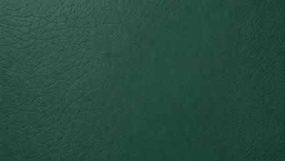 The primary subject of the image is a green leather book cover. The setting is a dark background, which contrasts with the green leather. The visual style is a close-up of the book cover, showcasing its texture and details. The colors and mood of the image are predominantly green, giving it a calm and soothing atmosphere.
