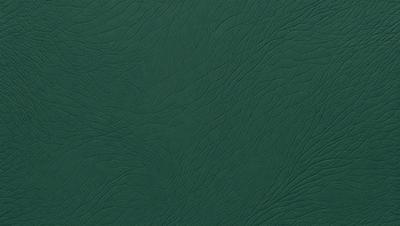 The primary subject of the image is a green leather-like material, which appears to be a close-up of a leather-like fabric. The setting is a dark background, which contrasts with the green material. The visual style is a close-up of the material, showcasing its texture and details. The colors and mood of the image are predominantly green, giving it a natural and earthy feel.