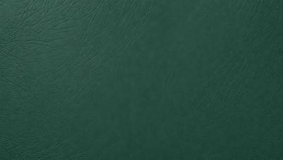The primary subject of the image is a green leather book cover. The setting is a close-up of the book cover, showcasing its texture and color. The visual style is a realistic representation of the book cover. The dominant colors are green and brown, creating a warm and earthy atmosphere.
