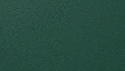 The primary subject of the image is a green leather book cover. The setting is a close-up of the book cover, showcasing its texture and details. The visual style is a realistic representation of the book cover, capturing its natural appearance. The colors and mood of the image are predominantly green, giving it a calm and soothing atmosphere.