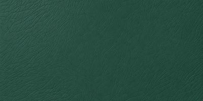 The primary subject of the image is a green leather book cover. The setting is a close-up of the book cover, showcasing its texture and details. The visual style is a realistic representation of the book cover, capturing its natural appearance. The colors and mood of the image are predominantly green, giving it a calm and soothing atmosphere.