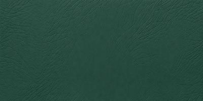 The primary subject of the image is a green leather book cover. The setting is a close-up of the book cover, showcasing its texture and design. The visual style is a realistic representation of the book cover, capturing its details and appearance. The colors and mood of the image are predominantly green, giving it a natural and earthy feel.