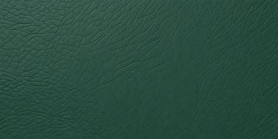 The primary subject of the image is a green leather book cover. The setting is a close-up of the book cover, showcasing its texture and details. The visual style is a realistic representation of the book cover, capturing its natural appearance. The colors and mood of the image are predominantly green, giving it a natural and earthy feel.