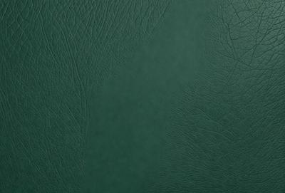 The primary subject of the image is a green leather book cover. The setting is a close-up of the book cover, showcasing its texture and color. The visual style is a realistic representation of the book cover. The dominant colors are green and brown, creating a warm and earthy atmosphere.