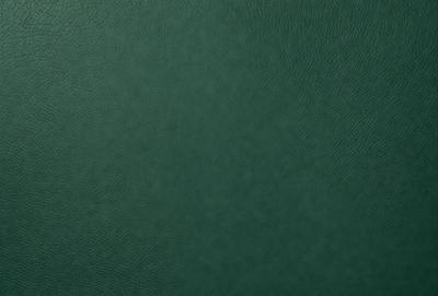 The primary subject of the image is a green leather surface. The setting is a close-up of the leather, showcasing its texture and color. The visual style is a realistic representation of the leather material. The colors and mood of the image are predominantly green, giving it a natural and earthy feel.