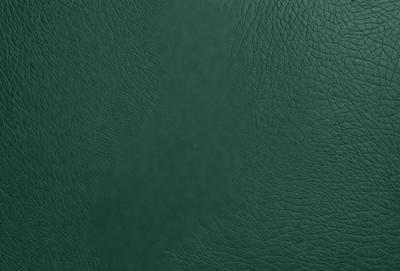 The primary subject of the image is a green leather book cover. The setting is a close-up of the book cover, showcasing its texture and color. The visual style is a real-life photograph of the book cover. The dominant colors are green and brown, creating a warm and earthy atmosphere.
