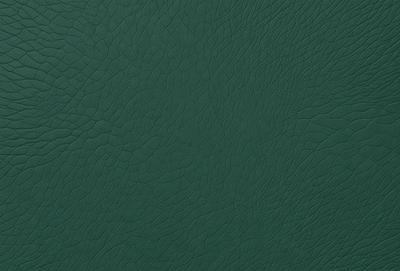 The primary subject of the image is a green leather material, which appears to be a leather-like fabric. The setting is a close-up of the material, showcasing its texture and appearance. The visual style is a realistic representation of the leather material, and the colors and mood are predominantly green, giving the image a natural and earthy feel.