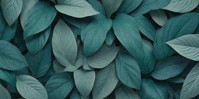 The primary subject of the image is a large green leafy plant with a blue background. The plant is the main focus of the image, and it is displayed in a close-up view. The visual style of the image is a digital art or illustration, as it is a detailed and intricate representation of the plant. The colors and mood of the image are predominantly blue and green, creating a serene and calming atmosphere.