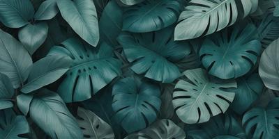 The image features a lush green plant with large leaves, creating a vibrant and natural atmosphere. The plant is the primary subject, and it is set against a backdrop of a dark blue background. The visual style of the image is a combination of photo and digital art, giving it a unique and artistic appearance. The dominant colors in the image are green and blue, which contribute to the overall mood of the scene.