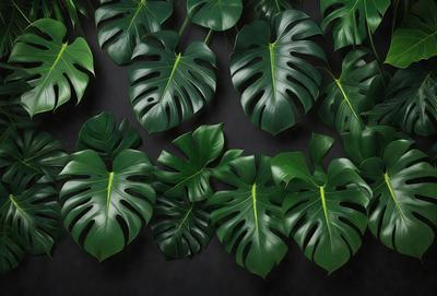 The image features a large group of green leaves, possibly from a plant or a collection of leaves. The leaves are arranged in various positions, creating a visually appealing scene. The primary subject of the image is the green leaves, which are the main focus of the image. The setting is a black background, which contrasts with the green leaves, making them stand out. The visual style of the image is a close-up of the leaves, showcasing their details and textures. The colors and mood of the image are pre