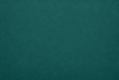 The primary subject of the image is a large, dark green cloth. The setting is a plain, empty space with no visible background or objects. The visual style is a close-up of the cloth, showcasing its texture and color. The colors and mood of the image are dark and moody, with the green cloth being the dominant color.