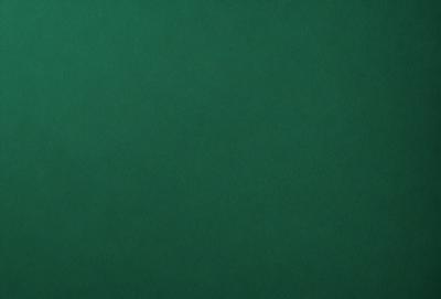 The primary subject of the image is a large green surface, which appears to be a table or a wall. The setting is a room with a green background, and the visual style is a photo. The colors and mood of the image are predominantly green, creating a calm and soothing atmosphere.