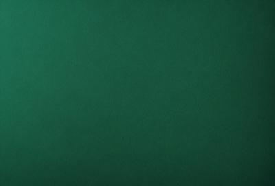 The primary subject of the image is a green background, which is the main object, scene, or focus of the image. The setting/background is a green surface, which is visible. The visual style of the image is a photo, as it is a real-life scene. The colors and mood of the image are predominantly green, creating a calm and serene atmosphere.