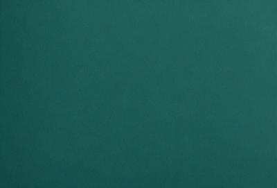 The primary subject of the image is a large, dark green surface. The setting is a plain, empty room with no visible objects or people. The visual style is a close-up of the green surface, which appears to be a wall or a table. The colors and mood of the image are predominantly dark and moody, with the green surface being the main focus.