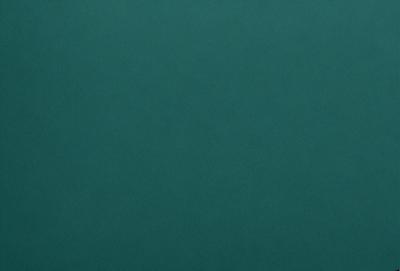 The primary subject of the image is a large, dark green surface. The setting is a plain, empty room with no visible objects or people. The visual style is a close-up of the green surface, which appears to be a wall or a table. The colors and mood of the image are predominantly dark and moody, with the green surface being the main focus.