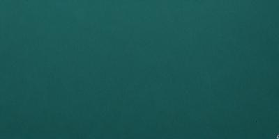 The primary subject of the image is a large, dark green cloth. The setting is a plain, empty space with no visible background or objects. The visual style is a close-up of the cloth, showcasing its texture and color. The colors and mood of the image are dark and moody, with the green cloth being the main focus.
