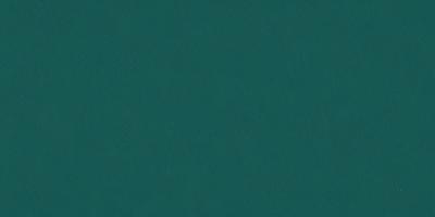 The primary subject of the image is a large, dark green surface. The setting is a room with a green wall, and the visual style is a close-up of the green wall. The colors and mood of the image are predominantly green, creating a calm and serene atmosphere.