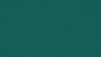 The primary subject of the image is a large, dark green surface. The setting is a dark green background, which creates a moody atmosphere. The visual style is a close-up of the green surface, which gives a sense of depth and texture. The colors and mood of the image are predominantly dark green, creating a sense of calmness and tranquility.
