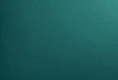 The primary subject of the image is a large, dark blue wall. The setting is a room with a green background, which creates a contrasting effect. The visual style is a close-up of the wall, showcasing its color and texture. The dominant colors are blue and green, giving the image a calm and serene atmosphere.