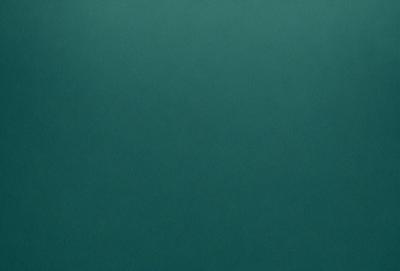 The primary subject of the image is a large, dark green wall. The setting is a room with a green background, and the visual style is a close-up of the wall. The colors and mood of the image are predominantly dark and moody, with the green wall being the main focal point.