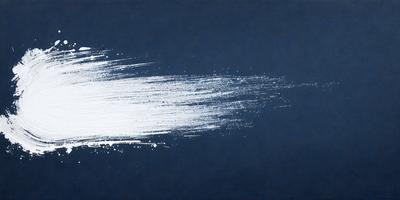 The primary subject of the image is a white streak or splash, which appears to be a painting or drawing. The setting is a dark blue background, which contrasts with the white streak. The visual style suggests that the image is a painting or drawing, rather than a photo or digital art. The colors and mood of the image are predominantly dark and moody, with the white streak standing out against the dark blue background.