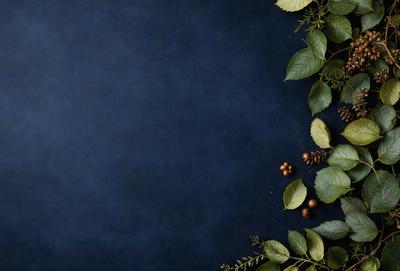The primary subject of the image is a close-up of a leafy plant with a few nuts on it. The setting is a blue background, which adds a contrasting color to the image. The visual style is a close-up, which emphasizes the details of the plant and its nuts. The colors in the image are predominantly green, which is the color of the plant, and the blue background. The overall atmosphere of the image is calm and natural, as it showcases the beauty of the plant and its n