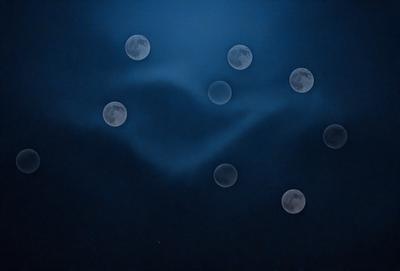 The primary subject of the image is a night sky filled with a large number of moon phases. The setting is a dark, cloudy night, with the moon phases scattered throughout the sky. The visual style is a combination of a photo and digital art, creating a unique and captivating scene. The colors and mood of the image are predominantly dark and moody, with the moon phases providing a sense of depth and intrigue.