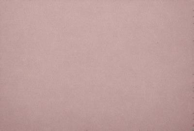 The primary subject of the image is a large, pink, textured surface. The setting is a room with a pink wall, and the visual style is a close-up of the wall. The colors and mood of the image are predominantly pink, creating a warm and inviting atmosphere.