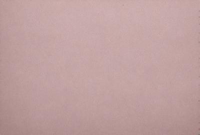 The primary subject of the image is a large, pink wall. The setting is a room with a pink background, and the visual style is a close-up of the wall. The colors and mood of the image are predominantly pink, creating a warm and inviting atmosphere.