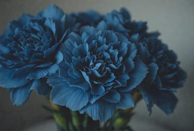 The primary subject of the image is a vase filled with blue flowers. The setting is a white background, which provides a clean and minimalist look. The visual style is a close-up of the vase and flowers, showcasing the details of the blue flowers. The colors and mood of the image are predominantly blue, creating a calm and serene atmosphere.