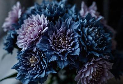 The primary subject of the image is a bouquet of purple flowers. The flowers are arranged in a vase, creating a beautiful and colorful display. The setting is indoors, with the vase placed on a table. The visual style of the image is a close-up, focusing on the details of the flowers and their arrangement. The dominant colors in the image are purple and blue, giving the scene a calm and serene atmosphere.