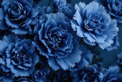 The primary subject of the image is a bouquet of blue flowers. The setting is a dark blue background, which creates a striking contrast with the vibrant blue flowers. The visual style is a close-up of the flowers, showcasing their details and beauty. The colors and mood of the image are predominantly blue, giving it a calm and serene atmosphere.