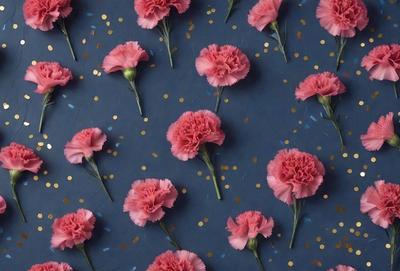 The primary subject of the image is a close-up of a pink flower. The setting is a blue background, which creates a contrast with the pink flower. The visual style is a close-up of the flower, showcasing its details. The dominant colors are pink and blue, creating a calm and serene atmosphere.