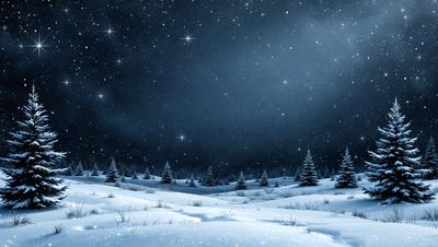 The primary subject of the image is a nighttime scene featuring a snow-covered field with a few trees. The setting is a dark, snowy night with a few stars visible in the sky. The visual style is a digital art or illustration, creating a serene and peaceful atmosphere. The colors are predominantly dark, with the snow and trees appearing white, and the stars adding a touch of brightness to the scene.