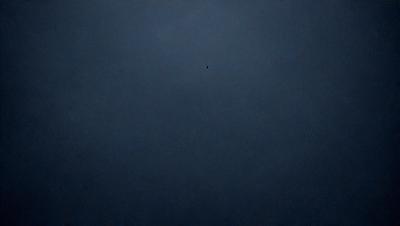 The primary subject of the image is a bird flying in the sky. The bird is located in the middle of the scene, surrounded by a dark blue sky. The setting appears to be a nighttime sky, with the bird being the only visible object. The visual style of the image is a photo, capturing the bird in flight against the backdrop of the night sky. The colors and mood of the image are predominantly dark, with the blue sky and the silhouette of the bird creating a sense of mystery and tranqu