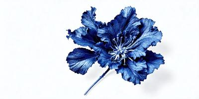 The primary subject of the image is a blue flower with a white center. The flower is displayed against a white background, giving it a clean and minimalist appearance. The visual style of the image is a combination of photo and digital art, creating a unique and artistic representation of the flower. The dominant colors in the image are blue and white, giving it a calm and serene atmosphere.
