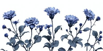 The primary subject of the image is a group of three blue flowers with long stems, arranged in a visually appealing manner. The flowers are the main focus of the image, and they are set against a white background, which adds a sense of contrast and simplicity to the scene. The visual style of the image is a close-up of the flowers, showcasing their details and beauty. The dominant colors in the image are blue and white, creating a calm and serene atmosphere.
