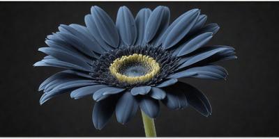 The primary subject of the image is a blue flower with a yellow center. The setting is a dark background, which highlights the vibrant colors of the flower. The visual style is a close-up of the flower, showcasing its details. The dominant colors are blue and yellow, creating a sense of calm and tranquility.