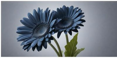 The primary subject of the image is a pair of blue flowers, which are the main focus of the scene. The flowers are placed against a white background, creating a clean and minimalist visual style. The colors of the flowers are predominantly blue, giving the image a calm and serene atmosphere.