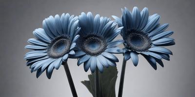 The primary subject of the image is a bouquet of three blue flowers, each with a round center. The flowers are placed in a vase, which is the setting for the scene. The visual style of the image is a photo, capturing the beauty of the flowers in their natural environment. The dominant colors in the image are blue, which gives the flowers a calm and serene appearance.