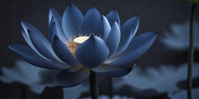 The primary subject of the image is a large blue flower, possibly a lotus, with a yellow center. The flower is situated in a dark setting, possibly a nighttime or dark room. The visual style of the image is a close-up of the flower, showcasing its details and colors. The dominant colors in the image are blue and yellow, creating a serene and calming atmosphere.