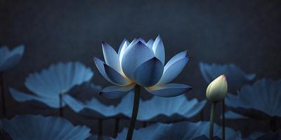 The primary subject of the image is a large blue flower, possibly a lotus, with a yellow center. The flower is situated in a dark blue background, which adds to the overall mood of the image. The visual style of the image is a combination of photo and digital art, creating a unique and artistic representation of the flower. The colors and mood of the image are predominantly dark and moody, with the blue flower standing out as the focal point.