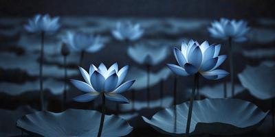 The primary subject of the image is a group of blue flowers, specifically water lilies, floating on the surface of a body of water. The setting is a dark, blue-toned environment, which adds a sense of depth and mystery to the scene. The visual style is a combination of a photo and digital art, creating a unique and captivating image. The colors and mood of the image are predominantly dark and moody, with the blue flowers standing out against the dark background.