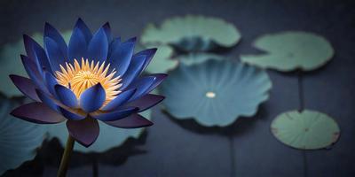 The primary subject of the image is a blue flower, possibly a lotus, with a yellow center. The flower is placed in front of a blue background, which creates a striking contrast. The visual style of the image is a close-up of the flower, showcasing its details and beauty. The colors and mood of the image are predominantly blue and serene, with the blue flower and blue background creating a calming atmosphere.