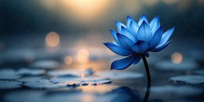 The primary subject of the image is a single blue flower, which is the main focus of the scene. The setting is a body of water, possibly a pond or a lake, with a sunny day creating a serene atmosphere. The visual style of the image is a photo, capturing the beauty of the flower in its natural environment. The dominant colors in the image are blue and yellow, with the blue flower standing out against the backdrop of the water and sunlight.