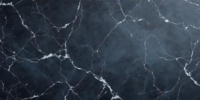 The primary subject of the image is a close-up of a marble wall with a black and white pattern. The setting is a room with a black and white marble floor. The visual style is a black and white photo, which gives the image a classic and timeless appearance. The colors and mood of the image are predominantly black and white, creating a sense of elegance and sophistication.