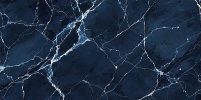 The primary subject of the image is a close-up of a black and white marble tile. The setting is a wall with a black and white marble tile pattern. The visual style is a close-up of the tile, showcasing its intricate design. The colors and mood of the image are predominantly black and white, giving it a classic and elegant appearance.