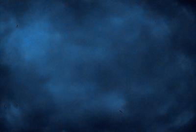 The primary subject of the image is a bird flying through a dark, cloudy sky. The setting is a cloudy night, and the visual style is a photo. The dominant colors are dark shades of blue and gray, creating a moody atmosphere.